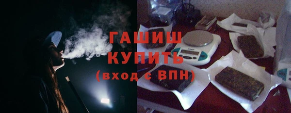 стаф Алзамай