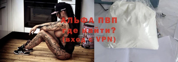стаф Алзамай