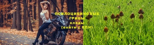 дурь Алексин
