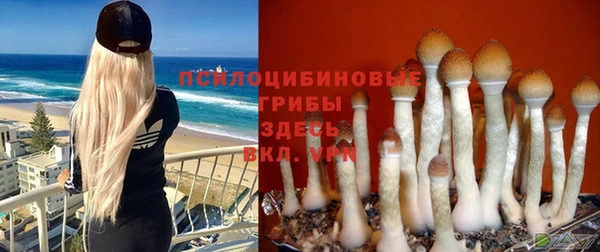 дурь Алексин