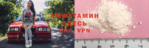 стаф Алзамай
