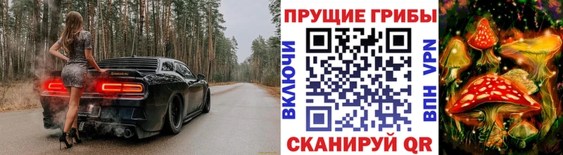блэк спрут Сасово Галлюциногенные грибы мицелий цена